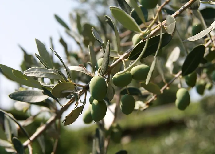 Corte Marzago Gospodarstwo agroturystyczne